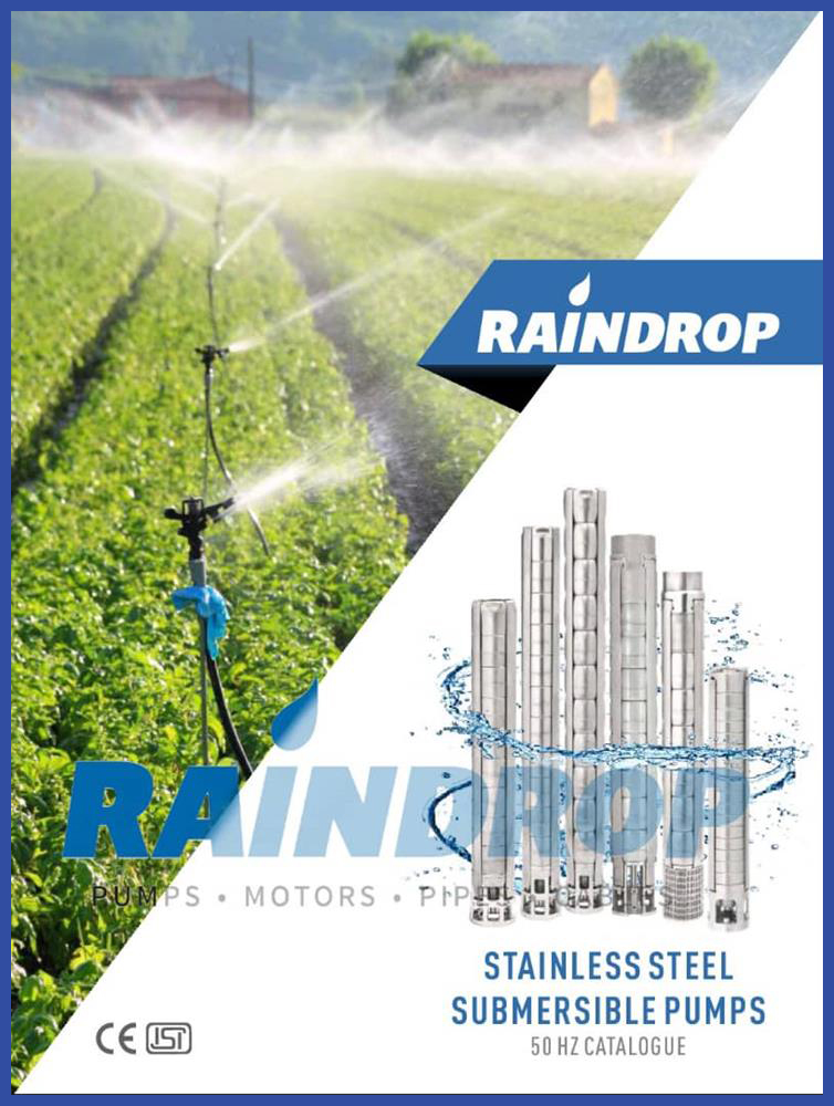 محركات ومضخات ريندروب الغاطسة